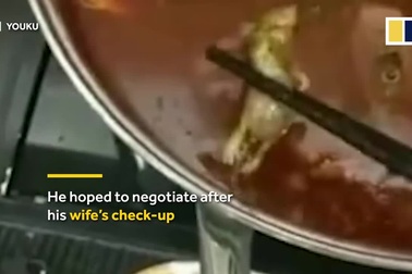 Phát hiện chuột chết trong nồi lẩu