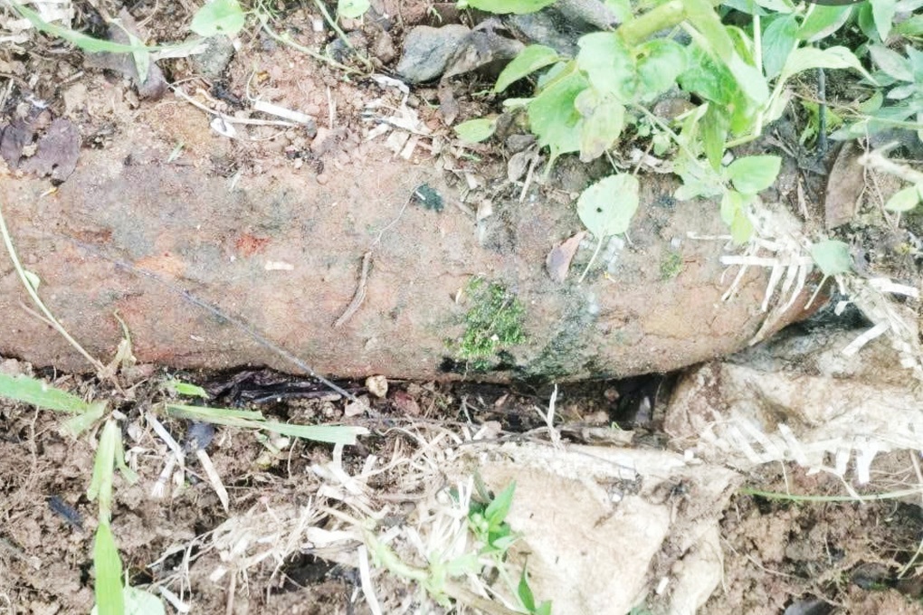 Quả đạn dài nửa mét nằm bên gốc cây - 1 Quả đạn dài nửa mét nằm bên gốc cây - 1