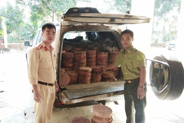 Hà Nội: Thu giữ hơn 500 chiếc thớt gỗ nghiến lậu