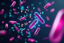 Tìm thấy chủng lợi khuẩn đầu tiên sống sót trước kháng sinh phổ rộng