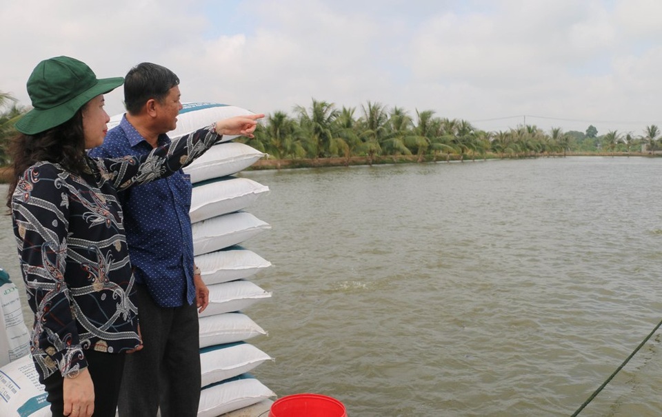 Lo nông dân buôn bán khó vì Covid – 19, Bí thư tỉnh ủy ra tận ruộng - 3 Lo nông dân buôn bán khó vì Covid – 19, Bí thư tỉnh ủy ra tận ruộng - 3