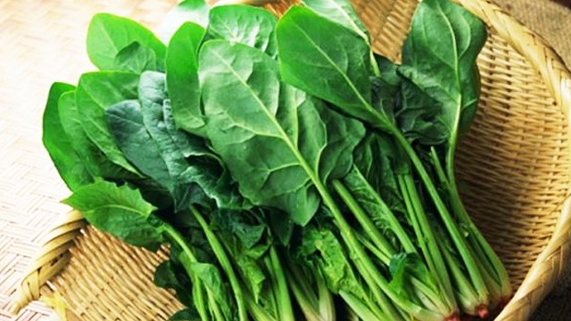 Cải bó xôi- thần dược chống ung thư - 1 Cải bó xôi- thần dược chống ung thư - 1