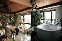 Không gian sống của người đàn ông sở hữu số cây trị giá hơn 1 tỷ đồng