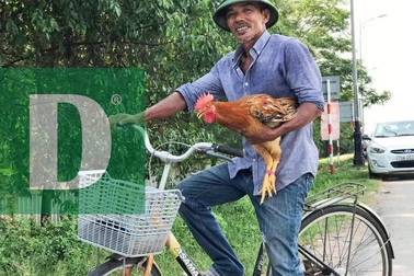 Chú đi xe đạp mang gà đến trường thi chờ cháu về nấu cháo