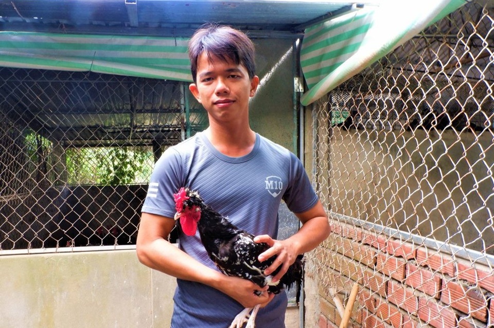 Nuôi chim trĩ, gà quý phi chàng trai Cần Thơ kiếm 300 triệu đồng mỗi năm - 1 Nuôi chim trĩ, gà quý phi chàng trai Cần Thơ kiếm 300 triệu đồng mỗi năm - 1