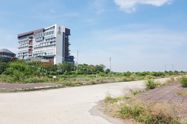 Bị hủy đấu giá, hơn 20ha “đất vàng” ở TP Ninh Bình tiếp tục bị bỏ hoang