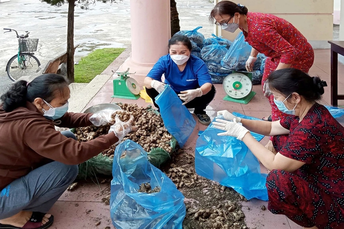 Huyện nghèo mắc kẹt vì cây thoát nghèo - 4 Huyện nghèo mắc kẹt vì cây thoát nghèo - 4