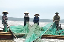 Kiếm tiền triệu mỗi ngày nhờ nghề kéo rùng