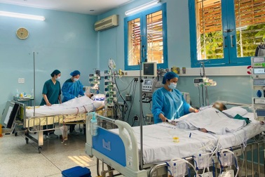 3 người mẹ hiến tạng, Bệnh viện Nhi đồng 2 liên tiếp ghép gan cứu nhiều trẻ