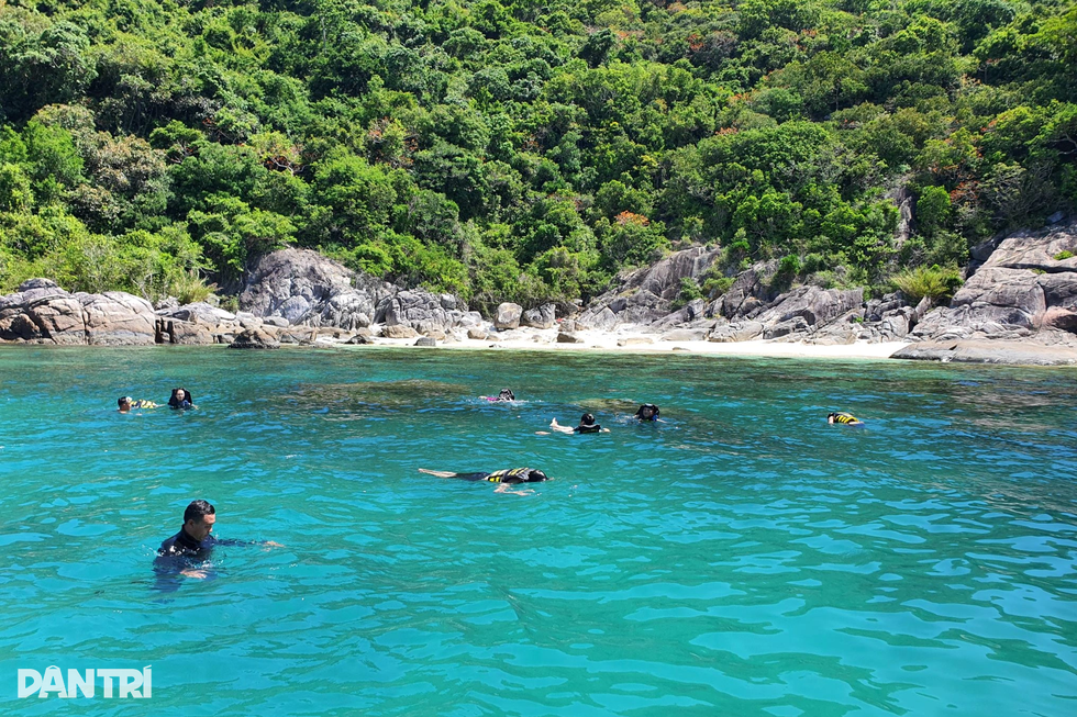 Khu dự trữ sinh quyển thế giới Cù Lao Chàm - Hội An - 3