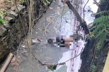 Phát hiện thi thể nam thanh niên dưới mương nước