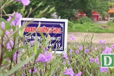 Bất ngờ với đường hoa tím bên bờ sông Tô Lịch