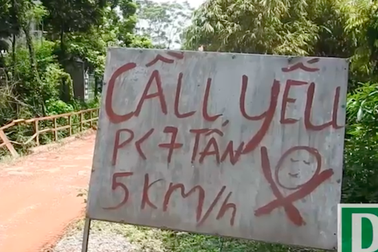 Vụ đánh cắp tài nguyên trắng trợn tại Bắc Giang: Báo Dân trí phản ánh có cơ sở!