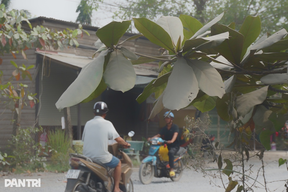 Thuê mặt bằng 20 triệu đồng, người dân tưới đường, lau nhà liên tục vì bụi - 9 Thuê mặt bằng 20 triệu đồng, người dân tưới đường, lau nhà liên tục vì bụi - 9