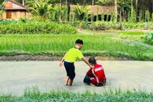 Hà Nội "thổi còi" hoạt động dã ngoại sau vụ tai nạn khi đi bắt ngao