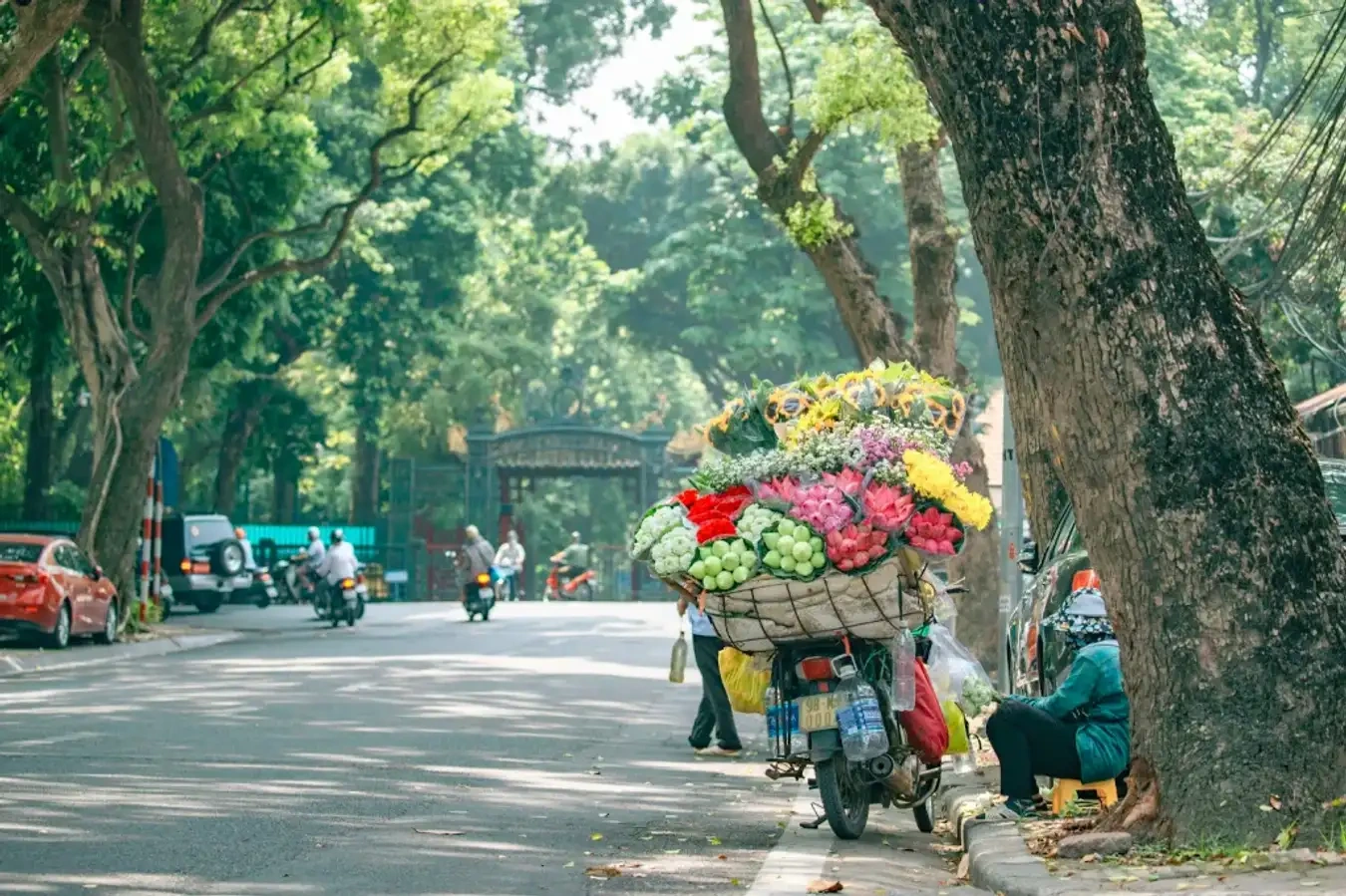 ha noi.jpg