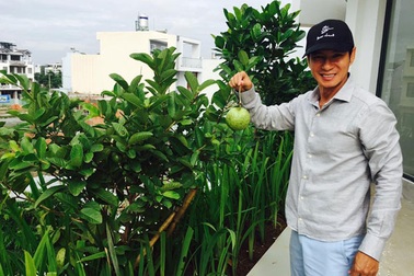 Ngắm vườn rau trái xanh mướt trong biệt thự triệu đô của sao Việt