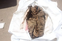 Xác ướp 2000 năm tuổi được tìm thấy ở bãi rác