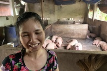 Tiết lộ bất ngờ của chủ nuôi đàn lợn "thoát" nhiễm dịch tả lợn châu Phi ở Đồng Nai