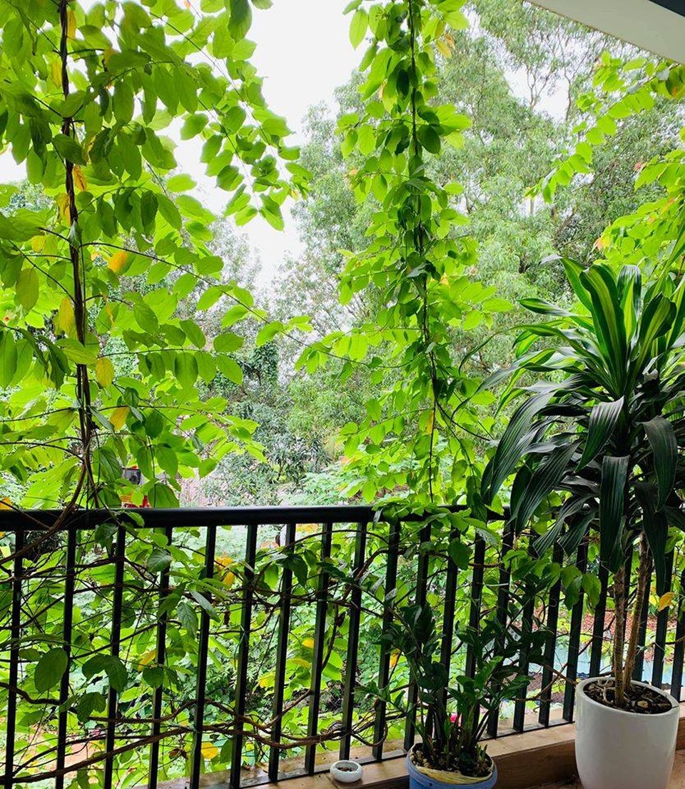 Biệt thự đẹp như trời Âu, bên trong toàn gỗ cao cấp của gia đình ở Hà Nội - 11