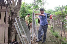 Khỉ “lạ” tấn công phụ nữ, giết gà của dân