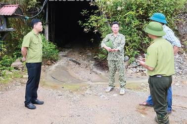 Hồ sơ gia hạn khai thác mỏ vàng lớn nhất Lào Cai bị trả lại