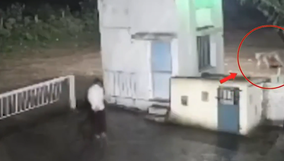 Nổi bật tuần qua: Người đàn ông đối mặt sư tử trong đêm và cái kết