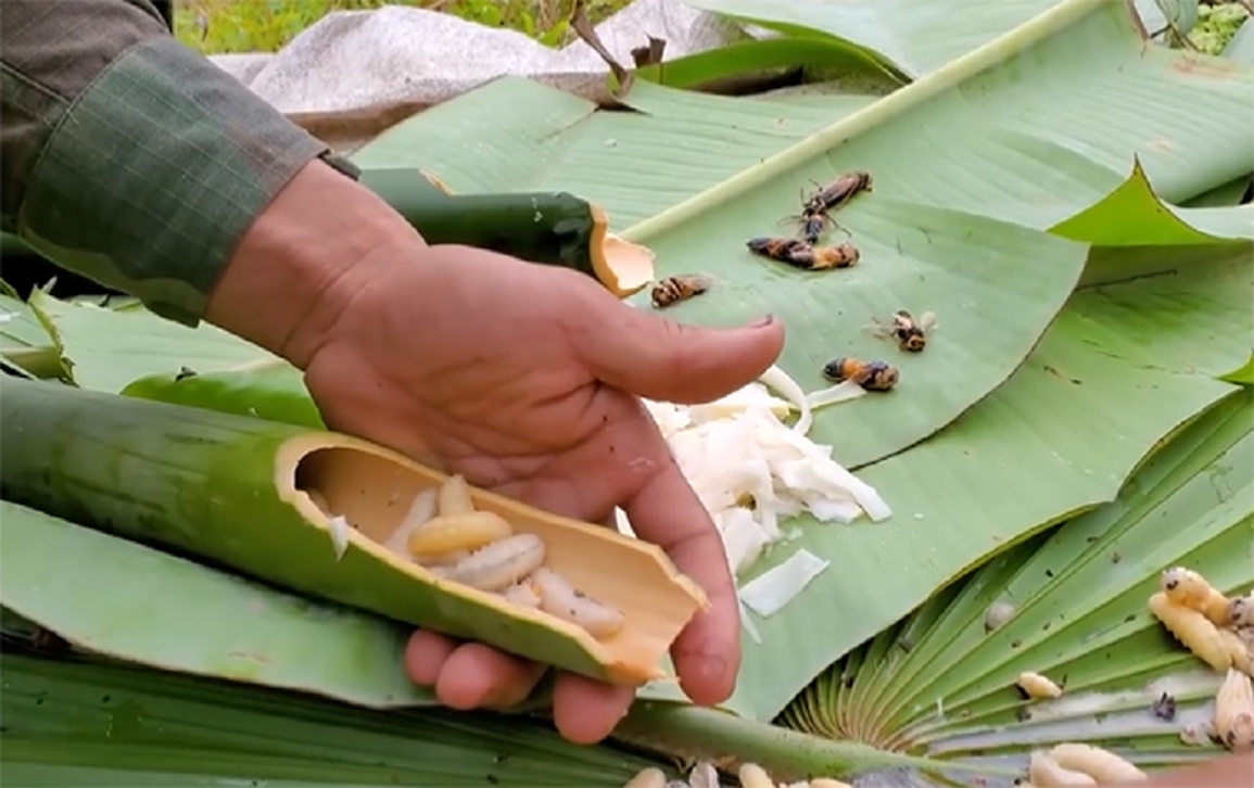Tuyệt chiêu của thợ săn ong tử thần - 3 Tuyệt chiêu của thợ săn ong tử thần - 3