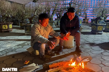 Tiểu thương thấp thỏm trông hoa Tết những đêm rét kỷ lục tại Hà Nội