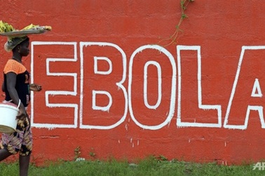 Khu vực có nguy cơ nhiễm Ebola từ động vật lớn hơn mọi dự đoán