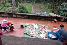 Đụng lợn ăn Tết