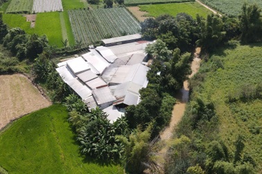 Yêu cầu xử lý hai cơ sở mủ cao su trái phép, gây ô nhiễm môi trường