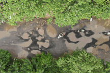 Người dân "offroad" trên con đường "nghìn ổ gà" giữa trung tâm Hà Nội