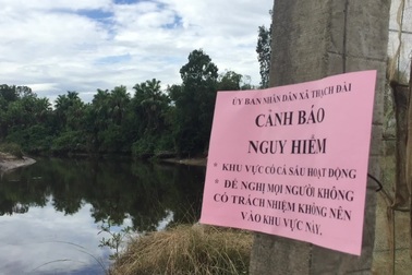 Vây bắt cá sấu sổng chuồng