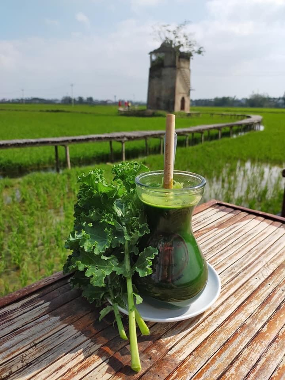 Độc đáo quán cà phê Lò gạch cũ nằm giữa cánh đồng lúa xanh ngát - 9 Độc đáo quán cà phê Lò gạch cũ nằm giữa cánh đồng lúa xanh ngát - 9