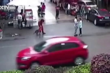 Chó dữ tấn công 20 người trên phố tại Trung Quốc