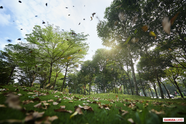 Không chỉ là ngôi nhà, đây là nơi tìm thấy niềm hạnh phúc đích thực…