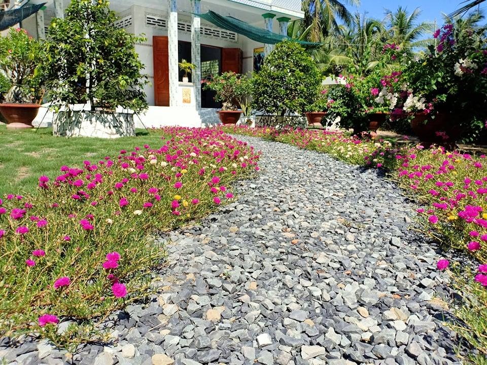 Chàng trai Tiền Giang cải tạo đất trống thành vườn 200m2 chỉ 10 triệu đồng - 5 Chàng trai Tiền Giang cải tạo đất trống thành vườn 200m2 chỉ 10 triệu đồng - 5