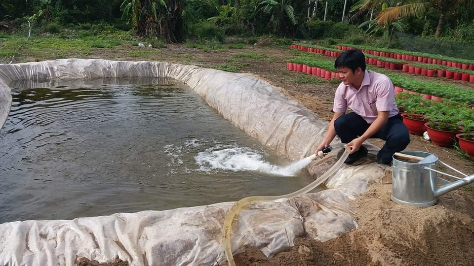 Nông dân ngậm ngùi chặt bỏ vườn cây trăm triệu - 4 Nông dân ngậm ngùi chặt bỏ vườn cây trăm triệu - 4