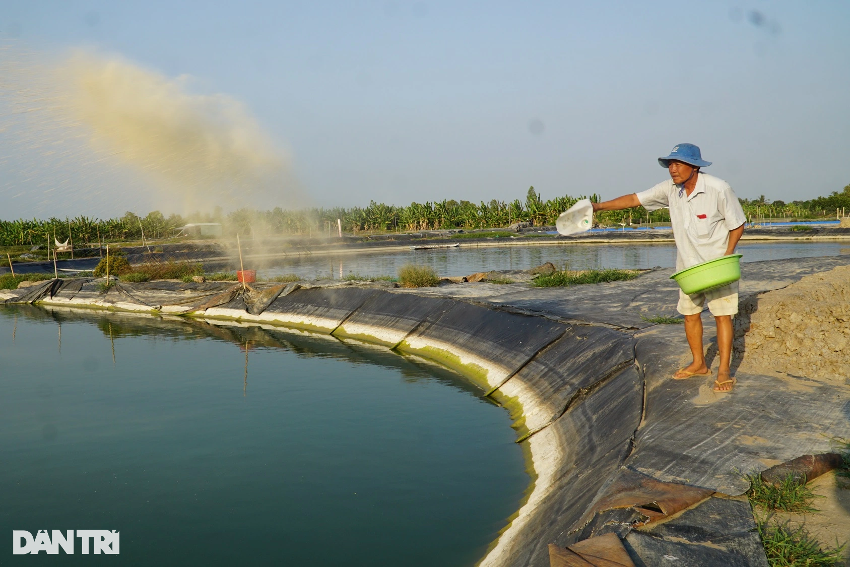 Lão nông thành triệu phú nhờ bí quyết bán 1 tỷ con cá mỗi năm - 1 Lão nông thành triệu phú nhờ bí quyết bán 1 tỷ con cá mỗi năm - 1
