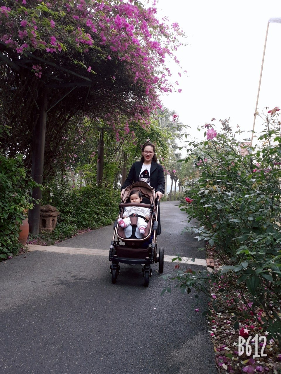 Đại tràng Ngọc Linh - Sự lựa chọn an toàn cho mẹ sau sinh - 1 Đại tràng Ngọc Linh - Sự lựa chọn an toàn cho mẹ sau sinh - 1