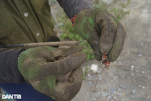 Săn con cực nhát giữa nắng nóng đổ lửa, nông dân thu vài trăm ngàn mỗi ngày