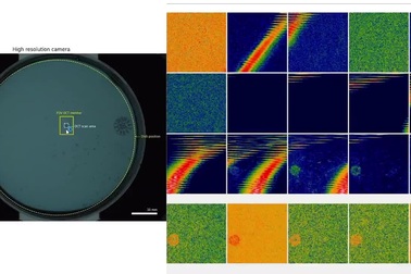 Robot AI học cách làm IVF, đã có trường hợp thành công