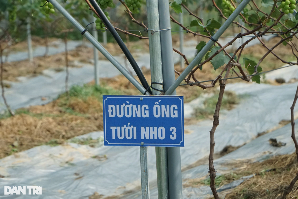 Cú liều ăn nhiều của anh khùng khiến ai cũng ngả mũ thán phục - 5