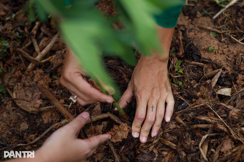 Hoa hậu 6 con Oanh Yến: Vượt cú sốc tinh thần, an yên tại nông trại 10ha - 15 Hoa hậu 6 con Oanh Yến: Vượt cú sốc tinh thần, an yên tại nông trại 10ha - 15