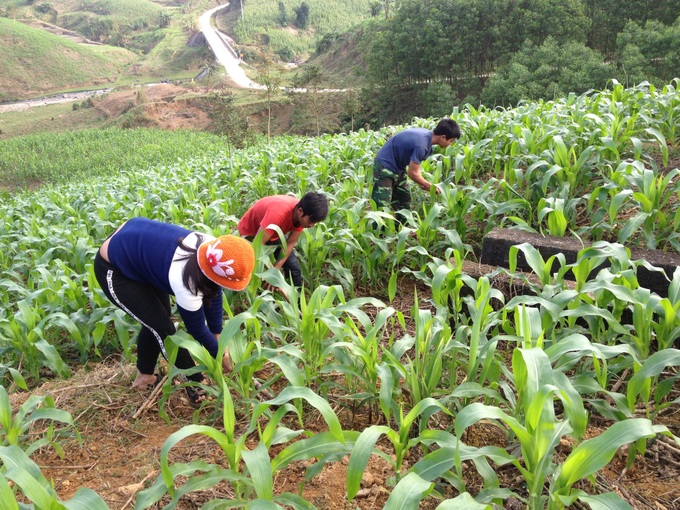 Viết tiếp theo dự án La Tưng: Cần sớm tháo gỡ để người dân thật sự thoát nghèo - Ảnh 3.