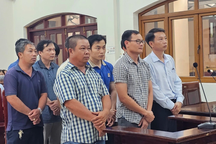 Cựu giám đốc trung tâm đăng kiểm ở Đồng Nai lĩnh án 3 năm tù