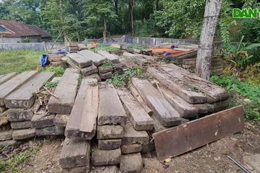 Cả trăm m3 gỗ chờ thanh lý đã mục nát, hư hỏng