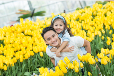 Festive Wonderland – Lễ hội thần tiên tại xứ sở Vinpearl Land