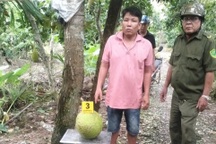 Vì sao người trộm 2 trái mít trị giá gần 400 nghìn đồng bị khởi tố?